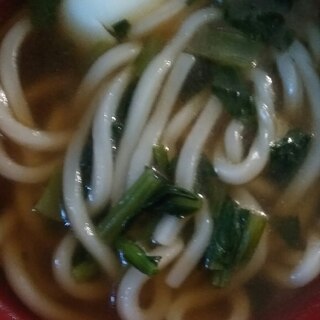 卵と小松菜うどん